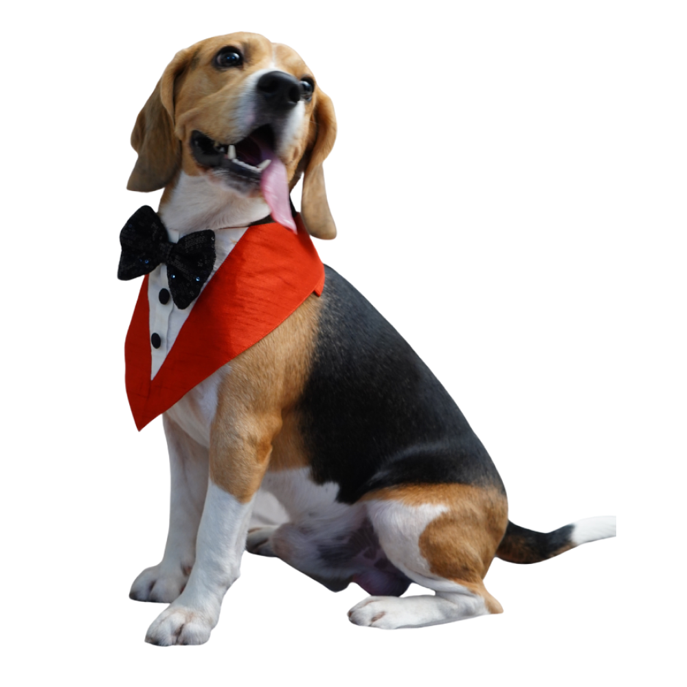 Floof & Co Silk Tuxedo for Dogs (Red)