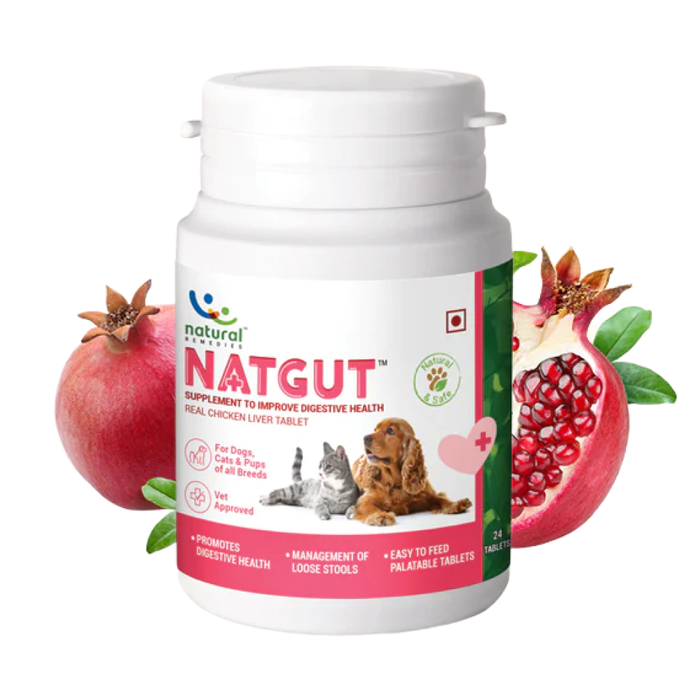 Natural Remedies Natgut Digestive Tablets & Fresh Me Up Bloom Dry Shampoo Dogs & Cats Combo Exclusive Combo Natural Remedies