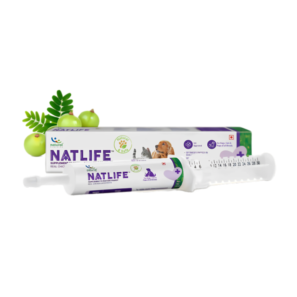 Natural Remedies Natlife Energy & Immunity Supplement Paste for Dogs and Cats
