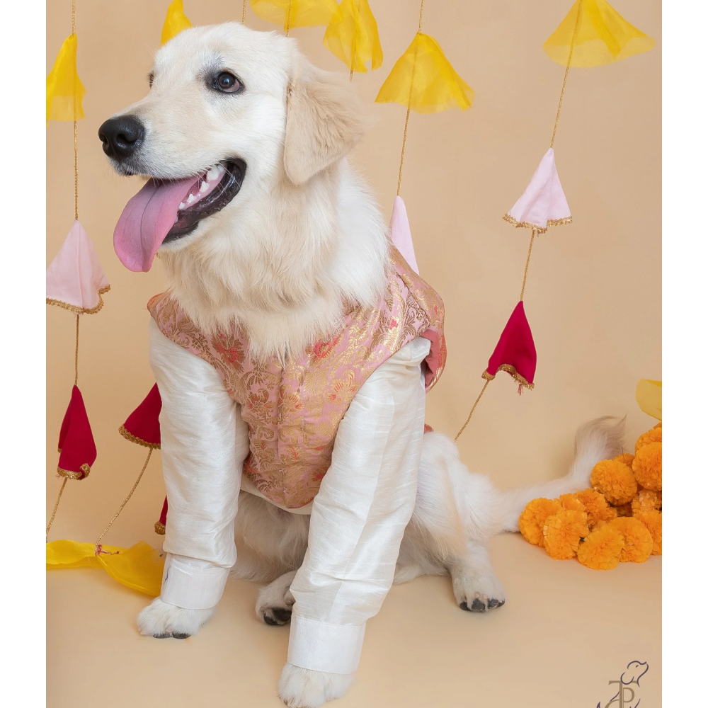 The Papaw Cartel Brocade Koti Kurta for Dog (Peach/Pink & Gold) Dogs-Clothing & Accessories The Papaw Cartel Dropship