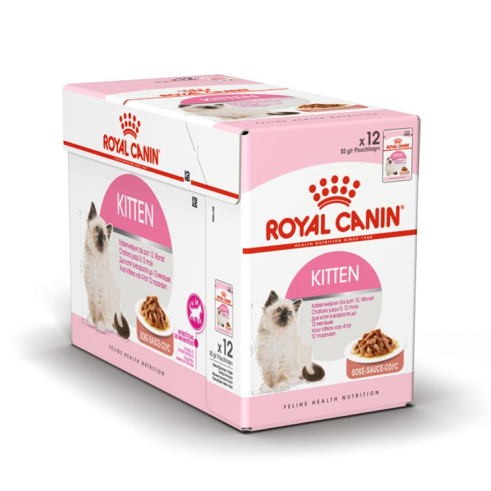 Royal Canin Persian Dry Food and Gravy Kitten Cat Wet Food Combo