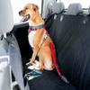 Red Dingo Padded Harness For Dogs (Red)