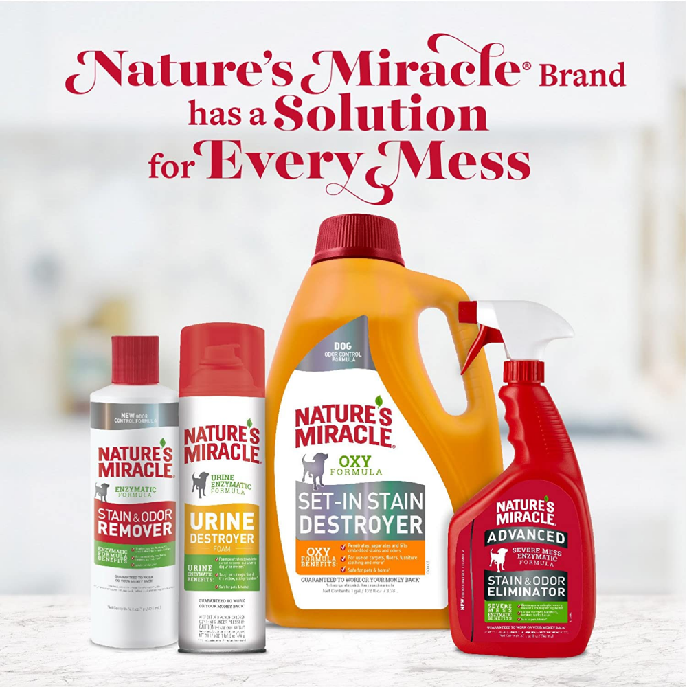 Nature’s Miracle Orange Oxy Stain and Odor Remover for Cats Cats-Health & Wellness Natures Miracle