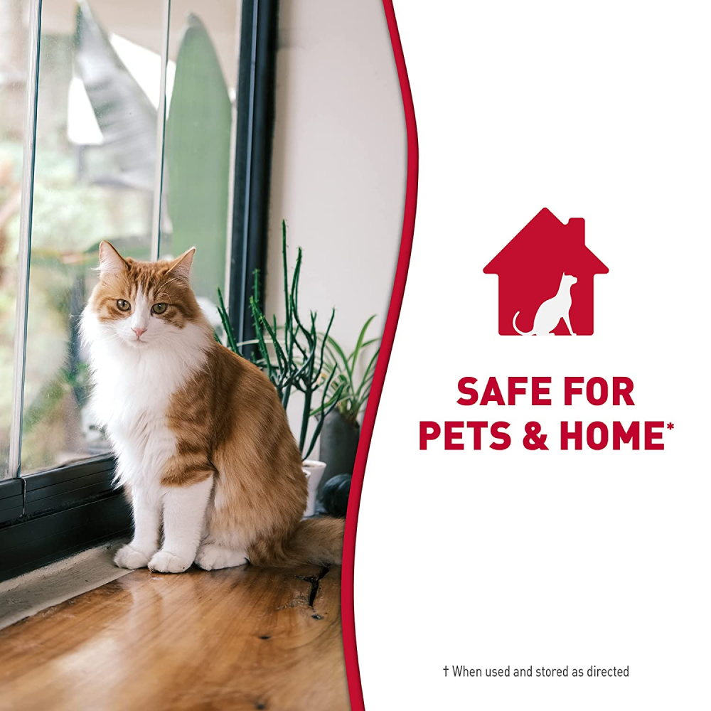 Nature’s Miracle Stain & Odor Remover for Cats Cats-Health & Wellness Natures Miracle