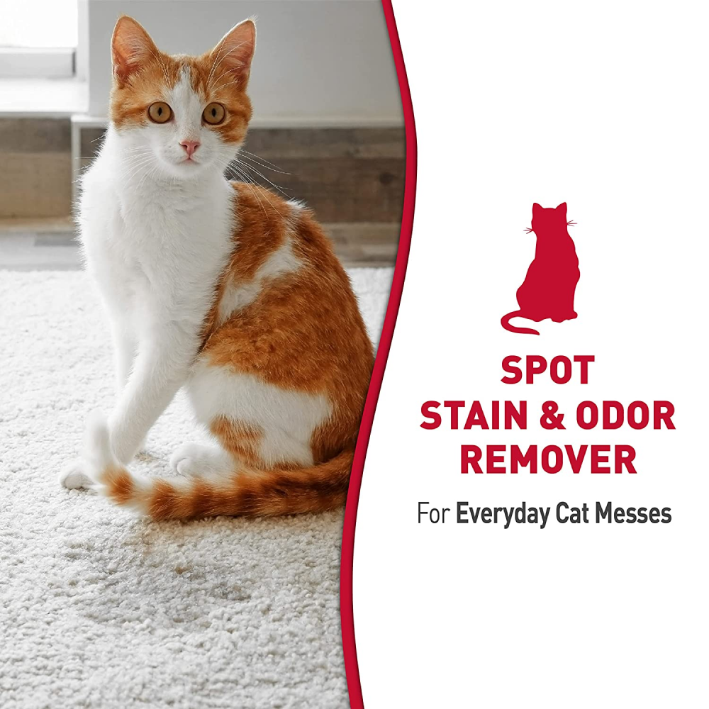 Nature’s Miracle Stain & Odor Remover for Cats Cats-Health & Wellness Natures Miracle
