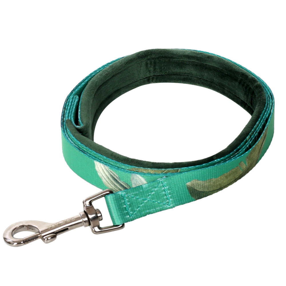 TopDog Premium Leaves Printed Nylon Leash for Dogs (Green)