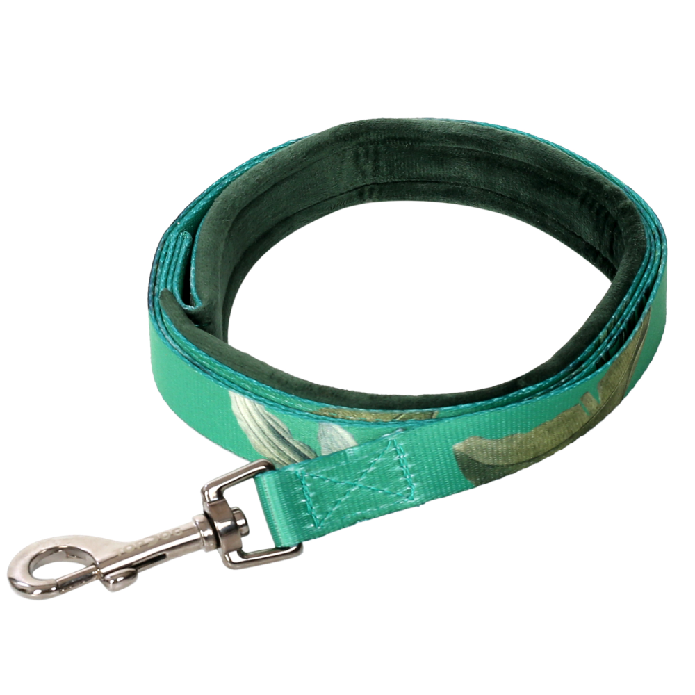TopDog Premium Leaves Printed Nylon Leash for Dogs (Green) Dogs-Collar, Leashes, harnesses TopDog Premium Dropship