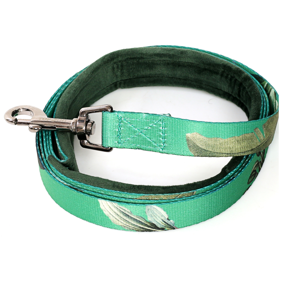 TopDog Premium Leaves Printed Nylon Leash for Dogs (Green) Dogs-Collar, Leashes, harnesses TopDog Premium Dropship M: 19mm Width