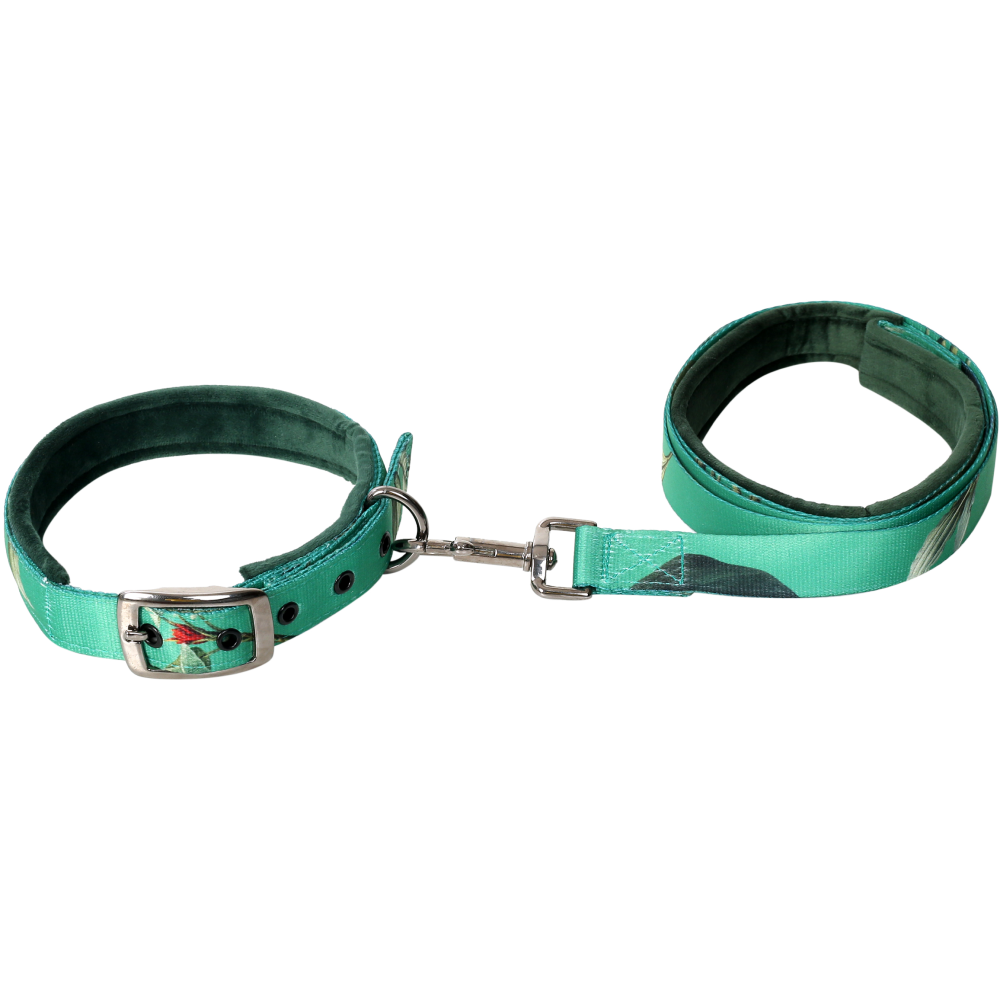 TopDog Premium Leaves Printed Nylon Leash & Collar Set for Dogs (Green)