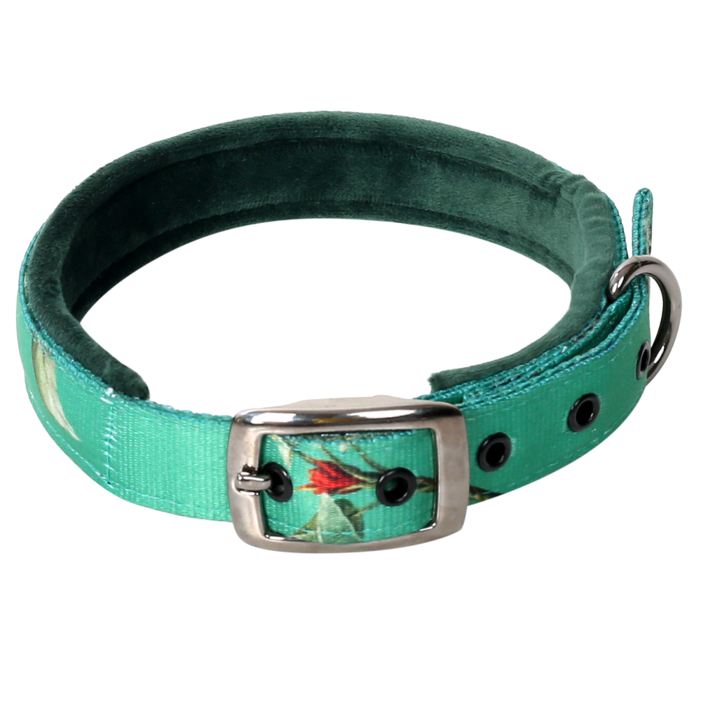 TopDog Premium Leaves Printed Nylon Collar for Dogs (Green)