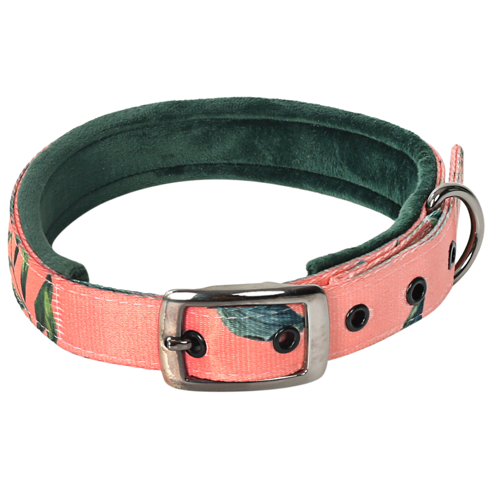 TopDog Premium Leaves Printed Nylon Collar for Dogs (Pink)