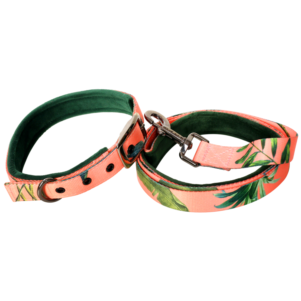 TopDog Premium Leaves Printed Nylon Leash & Collar Set for Dogs (Pink)