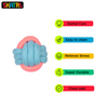 Skatrs 3 Bone Shaped, Knotted Ball with Handle and Ball Shaped Rope Chew Toy for Dogs and Cats Combo Both-Toys Skatrs