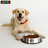 SKATRS Anti Skid Stainless Steel Bowl and Pedigree Chicken and Vegetables Adult Dry Dog Food Combo Dogs-Bowls & Feeders Exclusive Combo