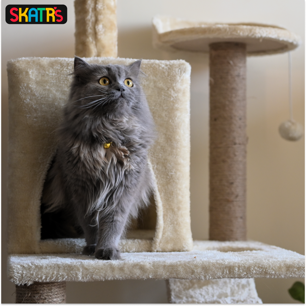 Skatrs Kitty Kastle Multi Level Cat Tree with Condo, Scratching Post, Platform and Ladder Toy and Satisfying Wave Cat Scratcher with 2g Premium Catnip Combo