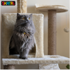 Skatrs Kitty Kastle Multi Level Cat Tree with Condo, Scratching Post, Platform and Ladder Toy and Satisfying Wave Cat Scratcher with 2g Premium Catnip Combo