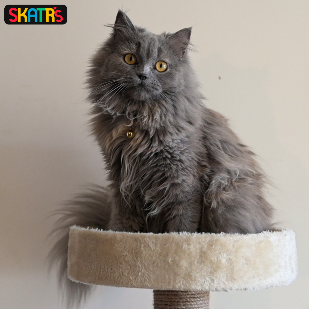 SKATRS Scratchy Wonderland Jumbo Multi Level Cat Tree with Sisal Posts Toy (Beige)