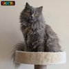 Skatrs Scratchy Wonderland Jumbo Multi Level Cat Tree with Sisal Posts Toy and Whisker Wonder Cat Scratcher with 2g Premium Catnip Combo Cats-Toys Skatrs