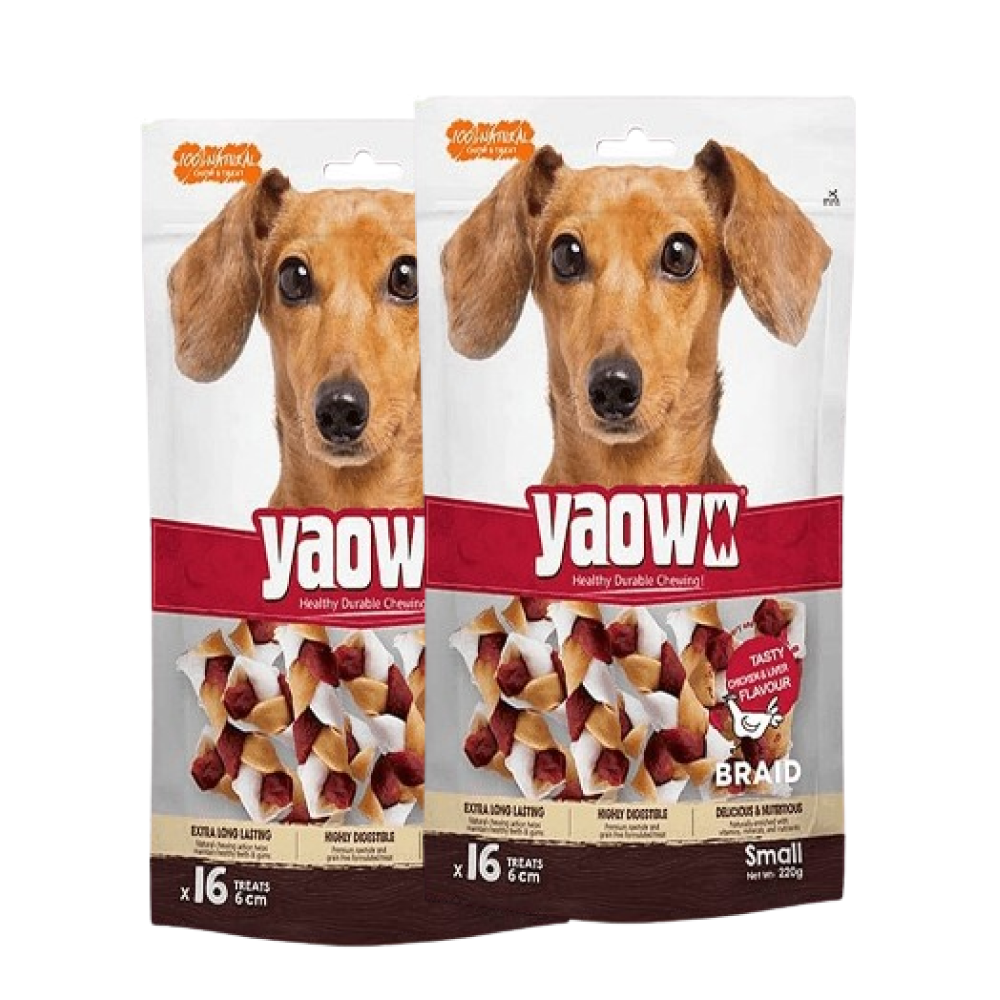 Gnawlers Yaowo Braid Chicken and Liver Dog Treats (6cm)