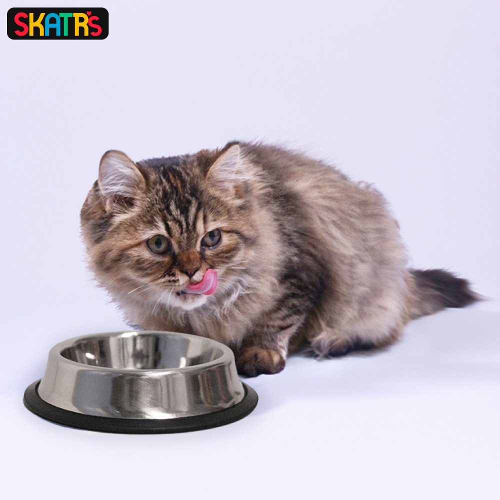 SKATRS Anti Skid Stainless Steel Bowl for Dogs and Cats