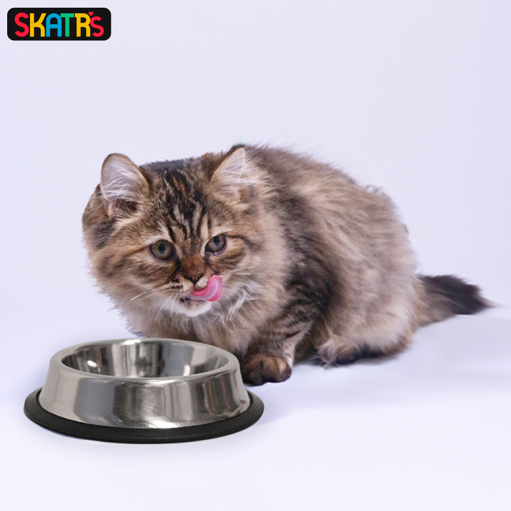 Skatrs Anti Skid Stainless Steel Bowl for Dogs and Cats