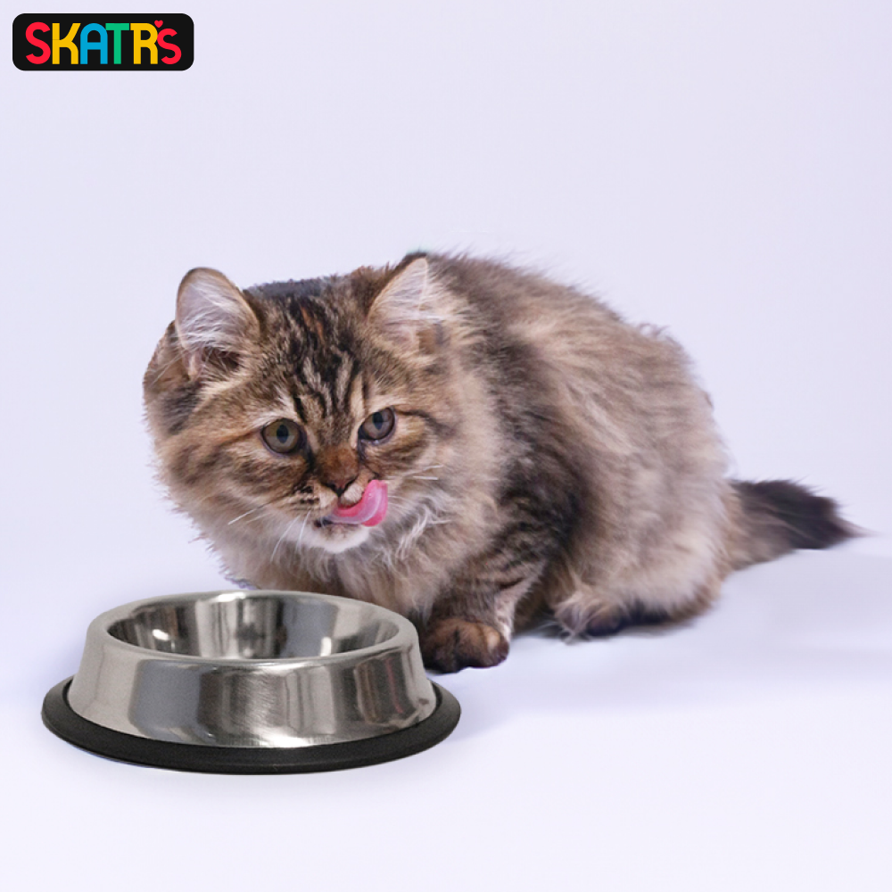 Skatrs Anti Skid Stainless Steel Bowl for Dogs and Cats Both-Bowls & Feeders Skatrs