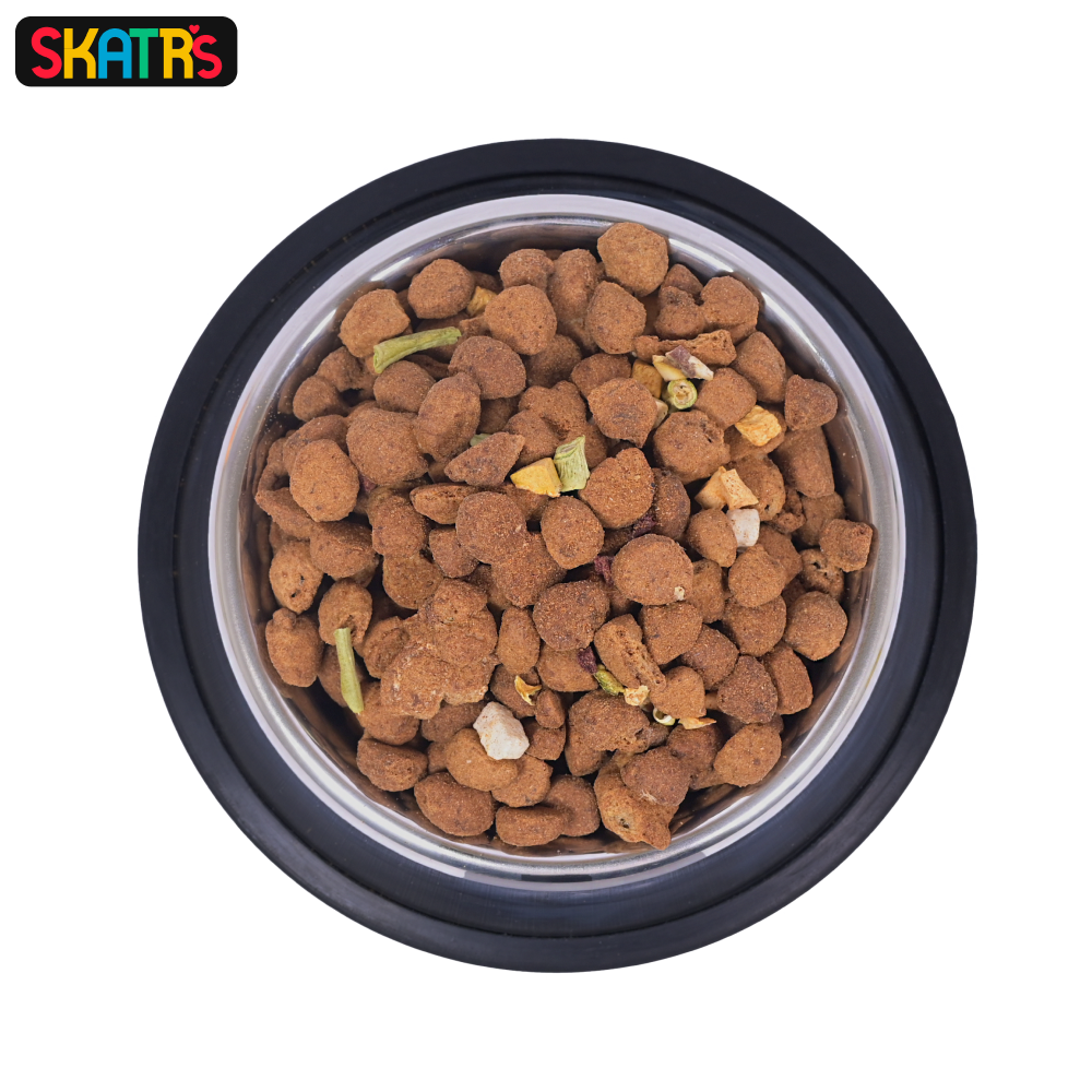 Skatrs Anti Skid Stainless Steel Bowl for Dogs and Cats