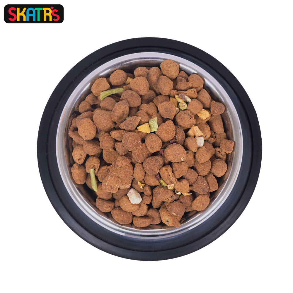 Skatrs Anti Skid Stainless Steel Bowl for Dogs and Cats Both-Bowls & Feeders Skatrs