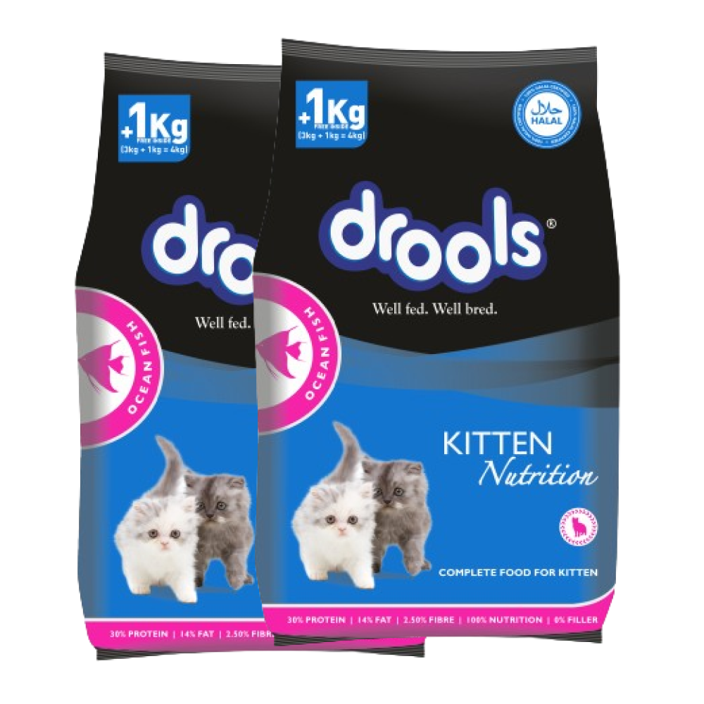 Drools Ocean Fish Kitten Cat Dry Food Cats- Dry food Drools 2x4kg (3+1kg)