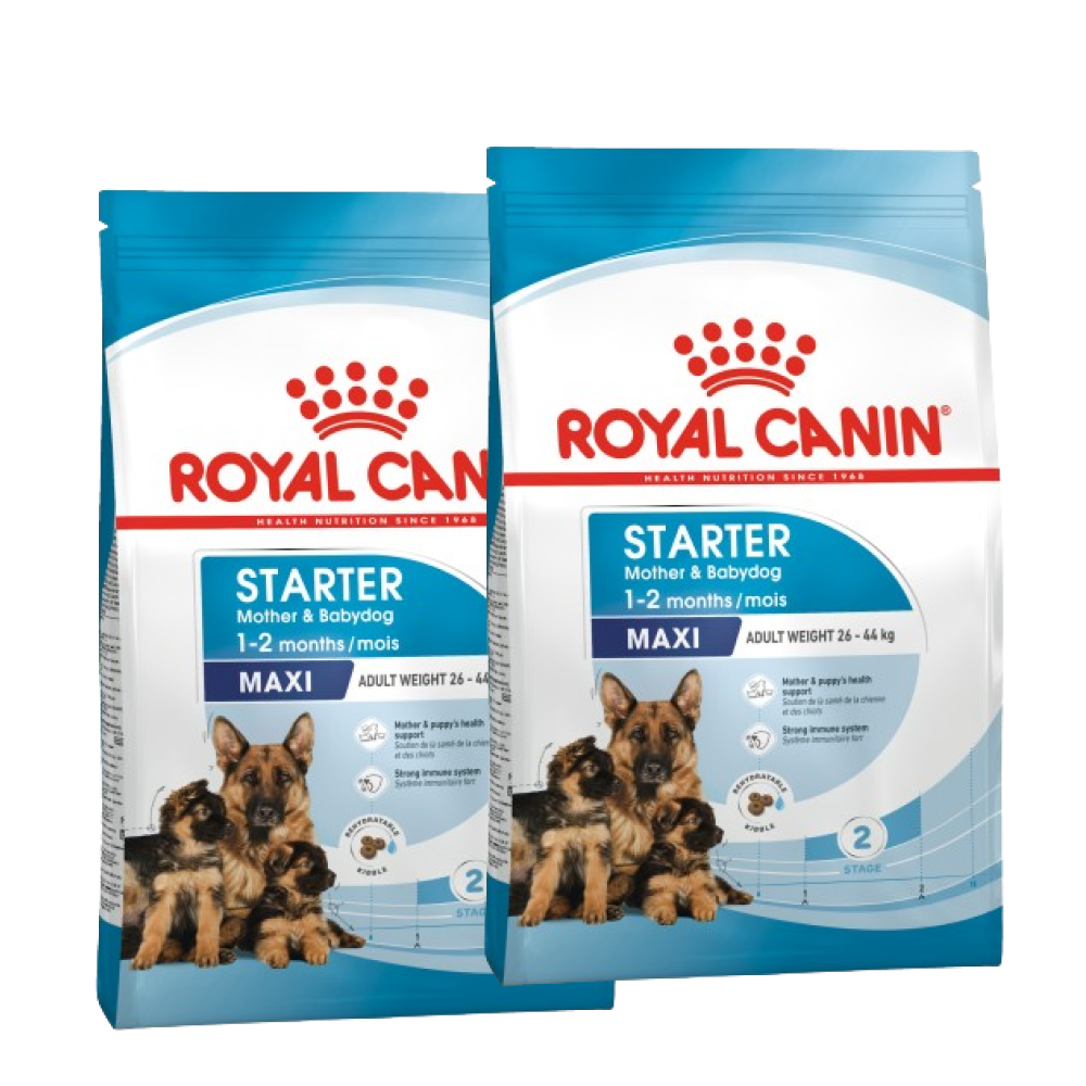 Royal canin maxi starter puppy best sale food