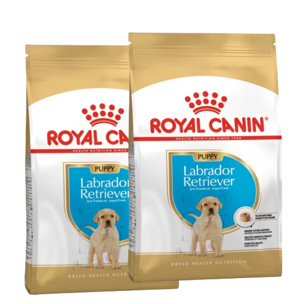 Buy Royal Canin Labrador Retriever Puppy Dog Dry Food Online