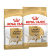 Royal Canin Labrador Retriever Adult Dog Dry Food Dogs- Dry Food Royal Canin