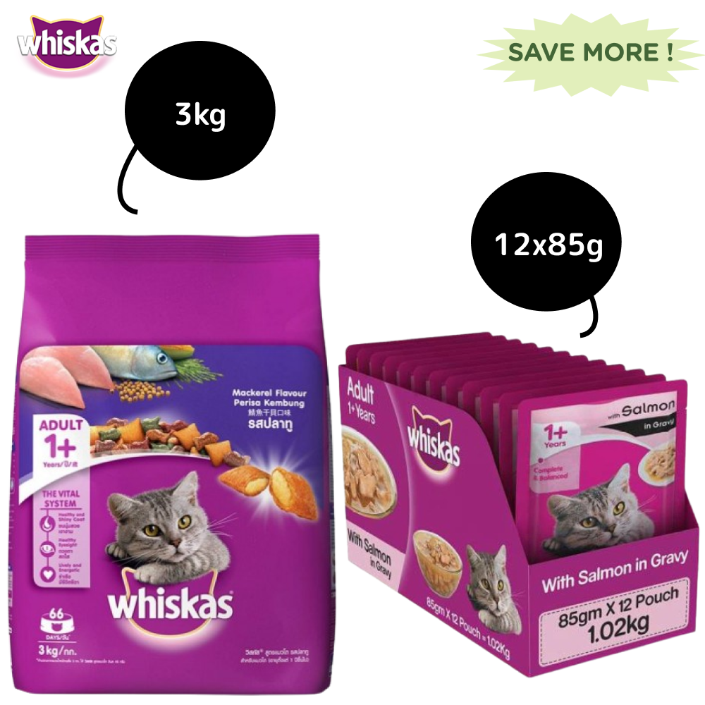 Whiskas Mackerel Flavour and Salmon in Gravy Meal Adult Cat Dry and Wet Food Combo
