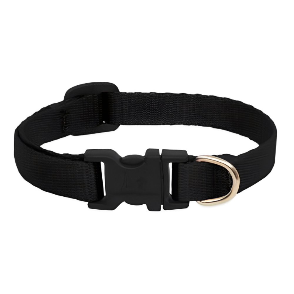 Skatrs Adjustable Collar with Bell for Cats & Kittens Lime Green and Black Combo Both-Collar, Leashes, harnesses Skatrs
