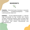 Unleash Wellness Jolly Gut Pre and Pro Biotic Supplement for Dogs and Cats Both-Health & Wellness Unleash Wellness Dropship