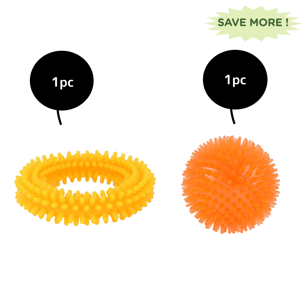 Basil Teething Ring Chew Toy and Squeaky Rubber Ball Toy Combo for Dogs