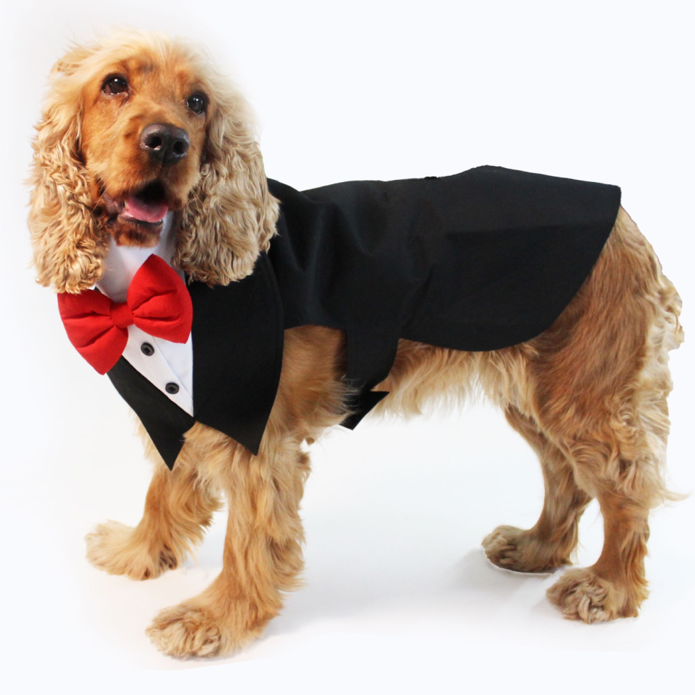 Dogobow Tuxedo Suit for Dogs and Cats (Black) (Get a Bow Free)