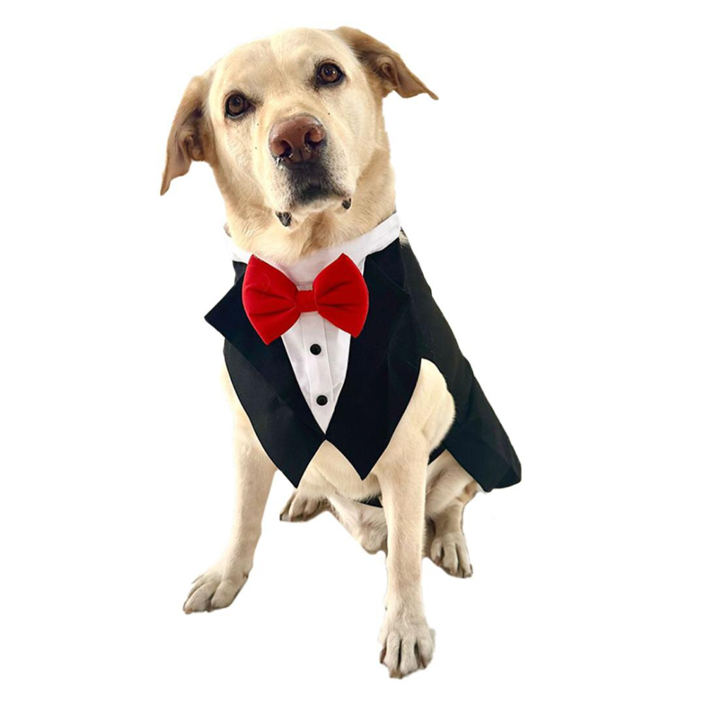 Dogobow Tuxedo Suit for Dogs and Cats (Black) (Get a Bow Free)