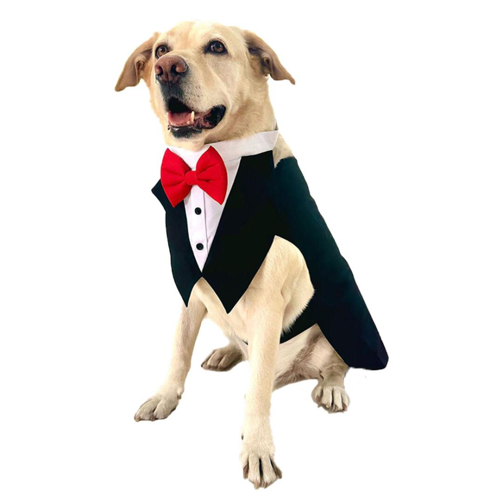 Dogobow Tuxedo Suit for Dogs and Cats (Black) (Get a Bow Free)