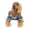 Dogobow Floral Shirt for Dogs and Cats (Navy Blue) (Get a Bow Free) Dogs-Clothing & Accessories Dogobow Dropship