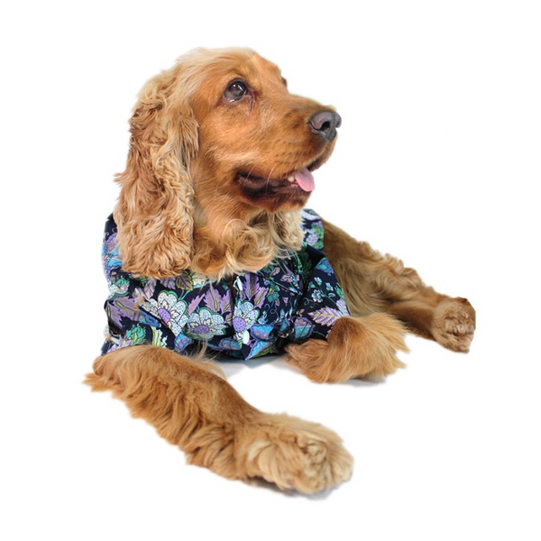 Dogobow Floral Shirt for Dogs and Cats (Navy Blue) (Get a Bow Free)