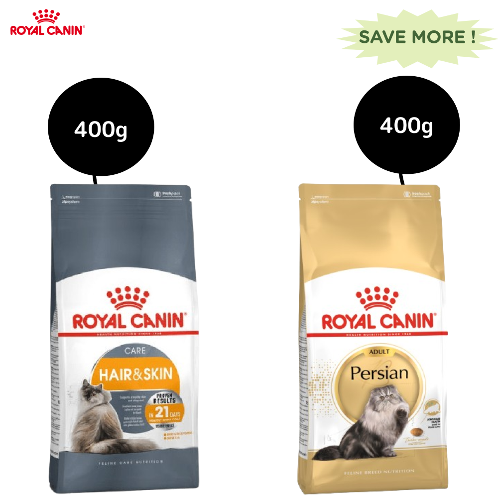 Royal Canin Hair & Skin Care and Persian Adult Cat Dry Food Combo