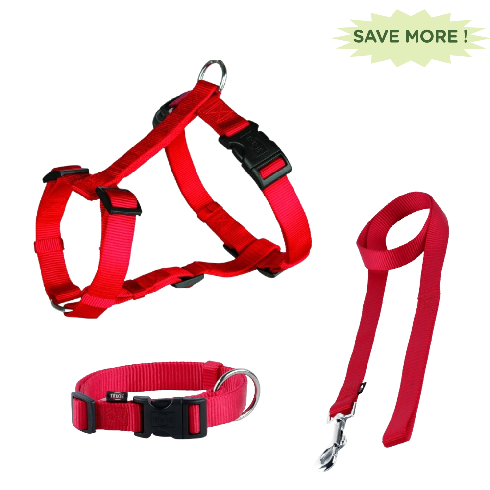 Trixie Classic H Harness, Lead Leash and Collar for Dogs Combo (Red) - S