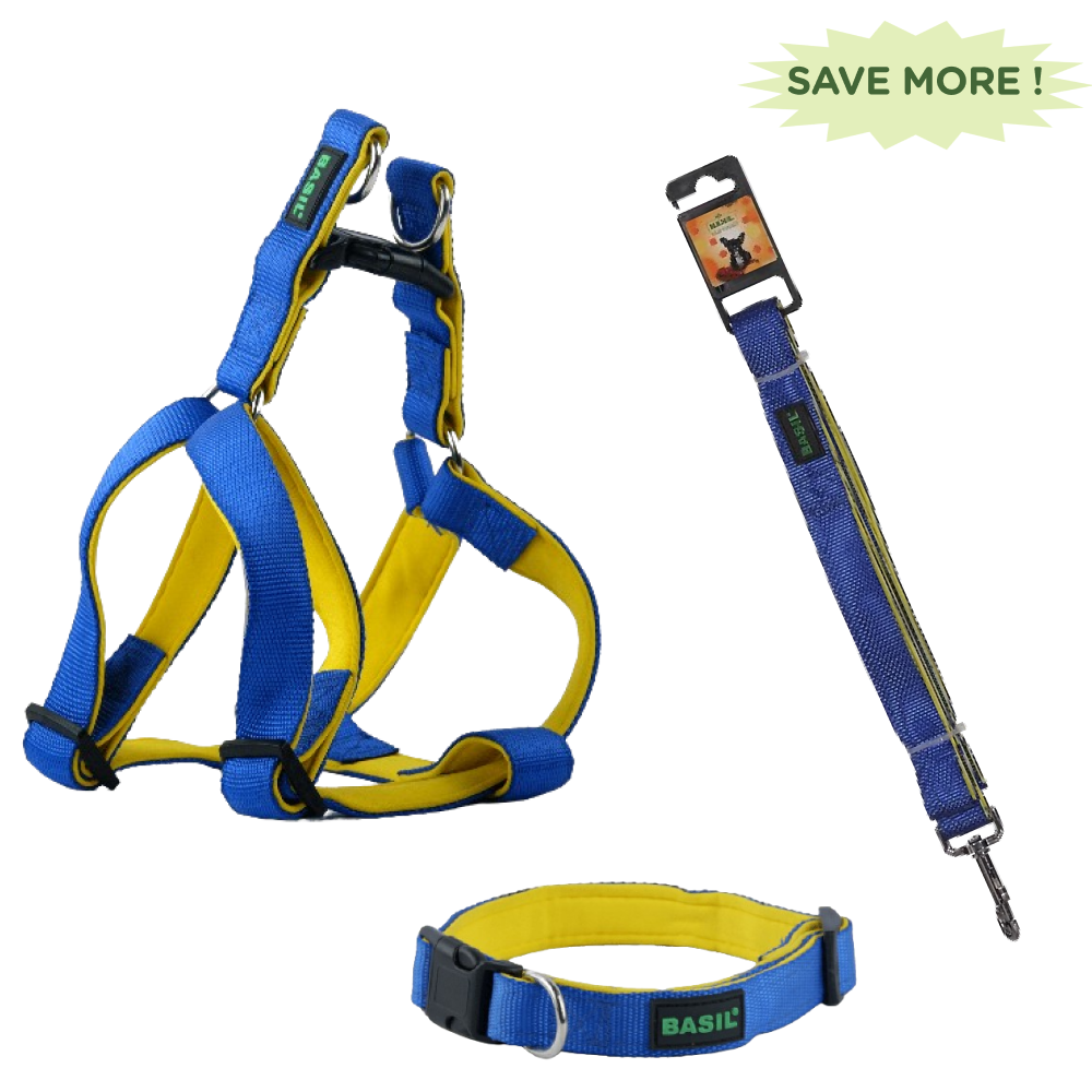 Basil Nylon Padded Adjustable Harness, Nylon Padded Leash and Padded Collar for Dogs Combo (Blue) - M