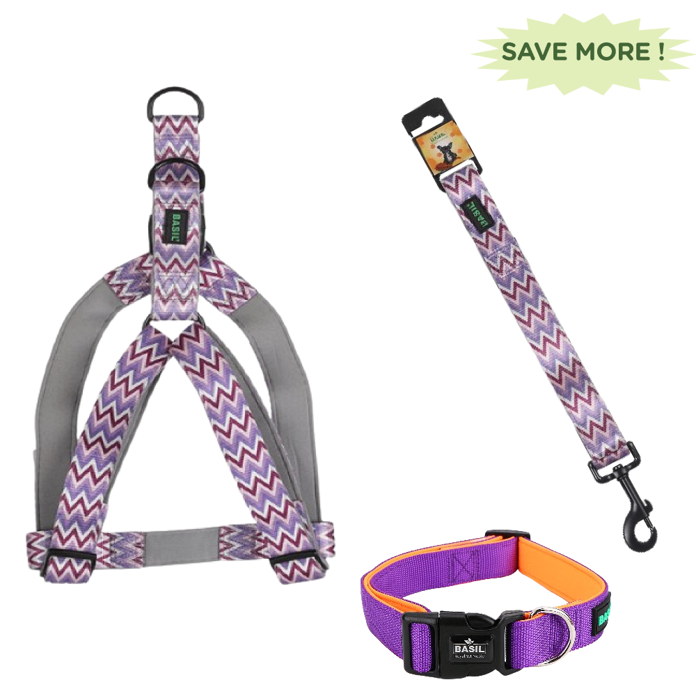 Basil Printed Adjustable Harness, Printed Leash and Nylon Padded Collar for Dogs Combo (Purple) - M