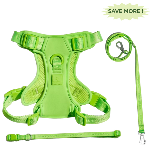 Furry & Co Ultra Harness, Leash and Collar for Dogs Combo (Limelight) - L