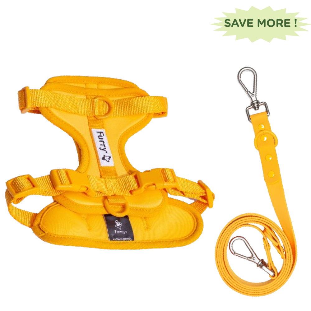 Furry & Co Bold Harness and Leash for Dogs Combo (Mango) - L