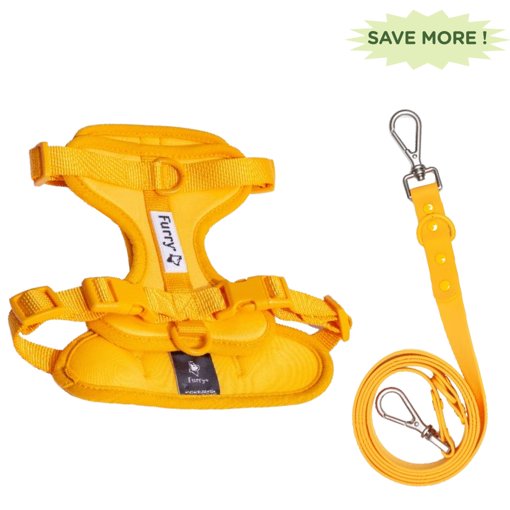 Furry & Co Bold Harness and Leash for Dogs Combo (Mango) - M