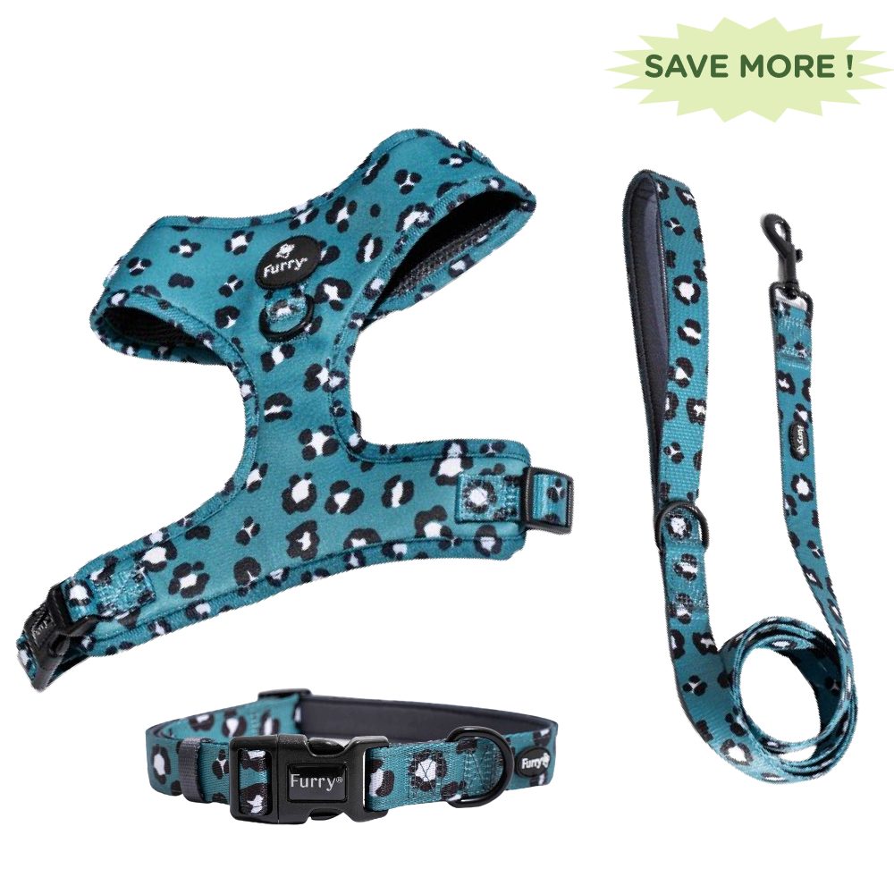 Furry & Co Wild One No Pull Harness, Collar and Leash for Dogs Combo - L