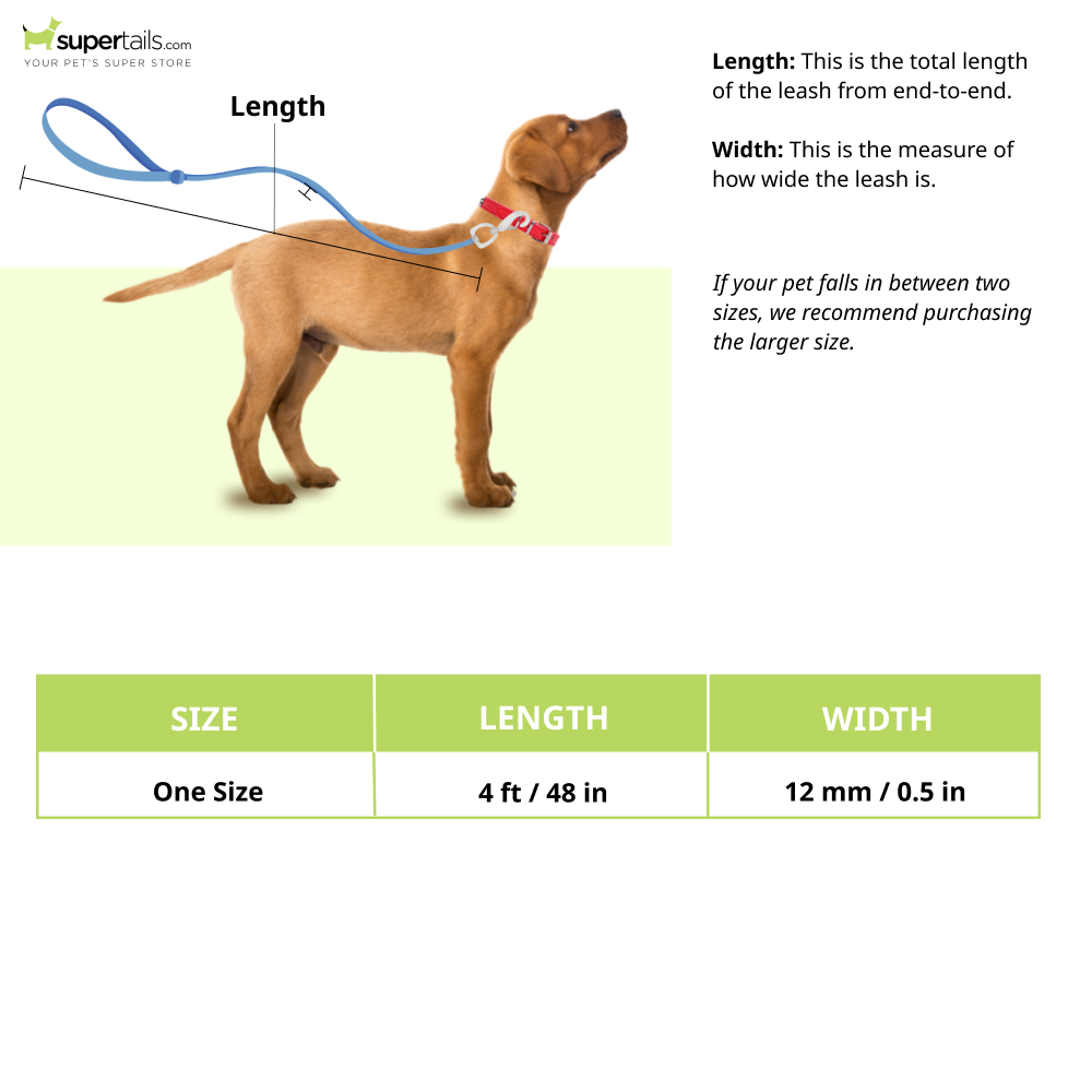 Buy Basil Shock Absorbing Stretch Leash for Dogs Online Supertails